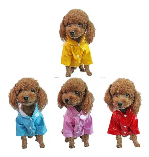 Carpa Lluvia de Colores Mascota S M L XL